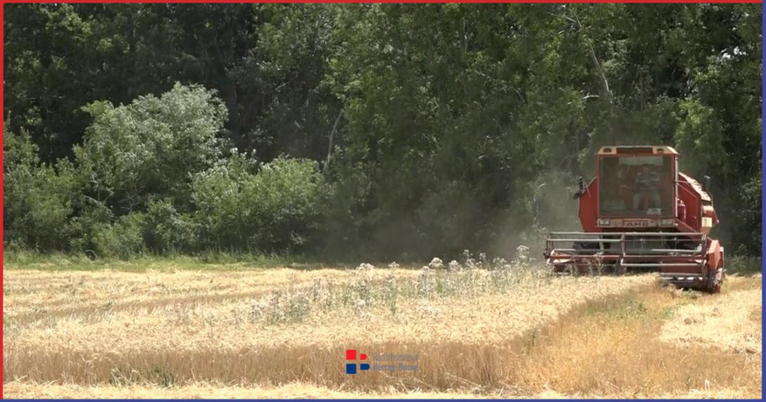 poljoprivreda klimatske promjene.png
