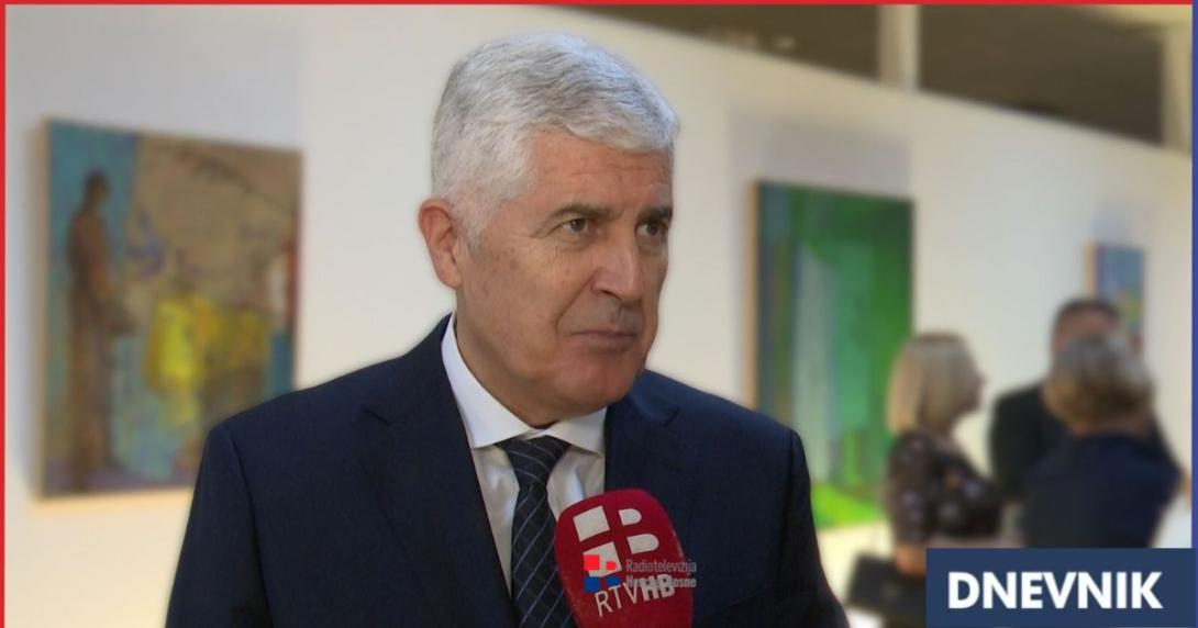 dnevnik covic 