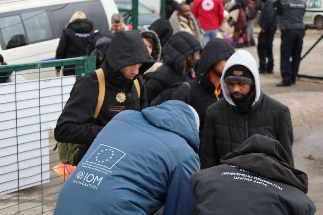 Međunarodna organizacija za migracije (IOM)