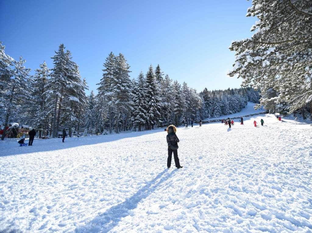 Blidinje