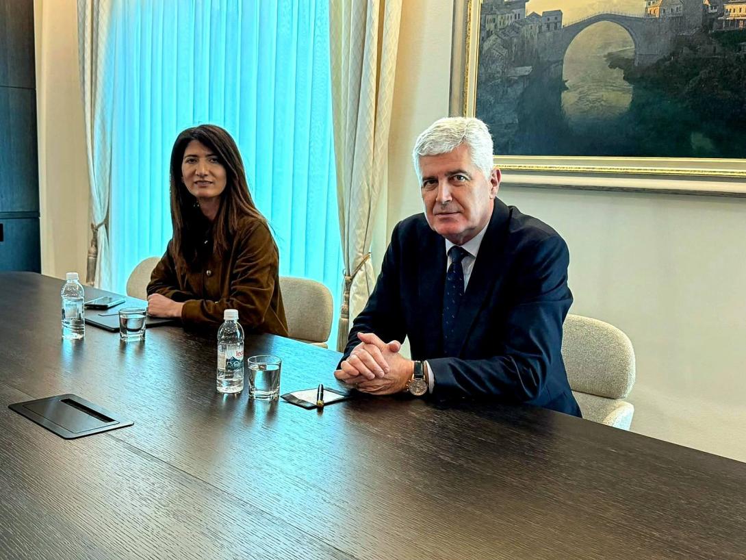 covic i filipovic