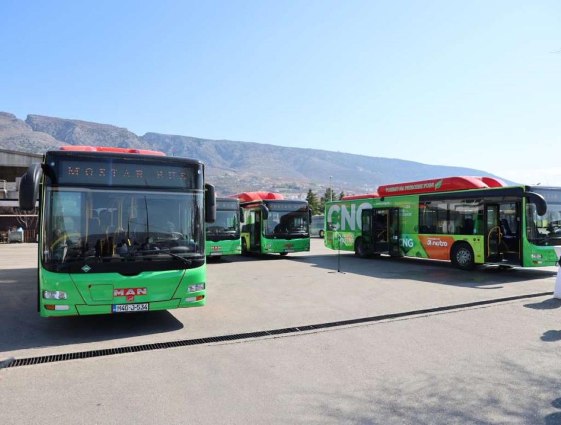 bus
