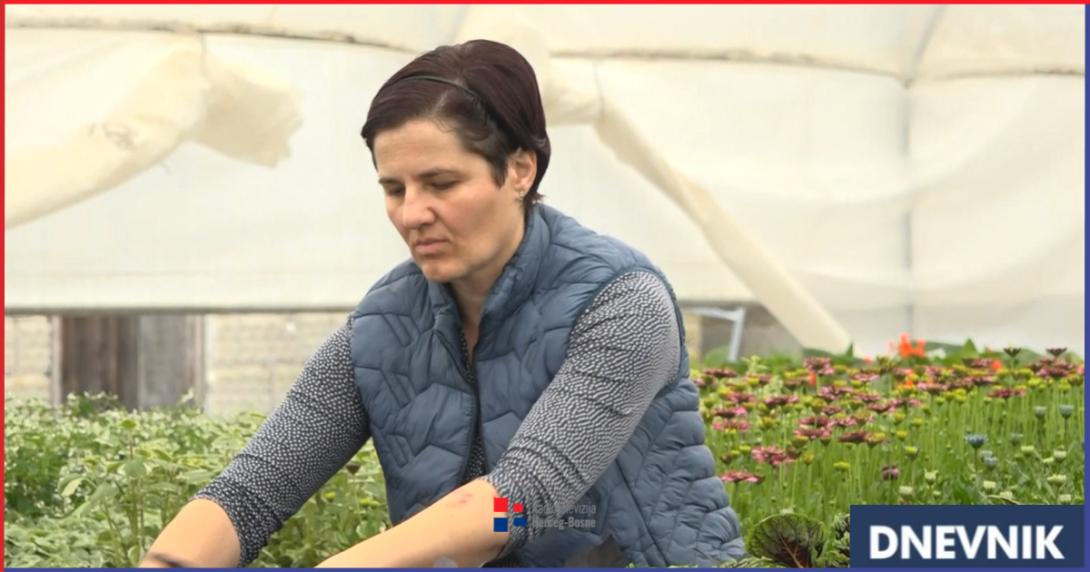 cvijece slavica dn.png