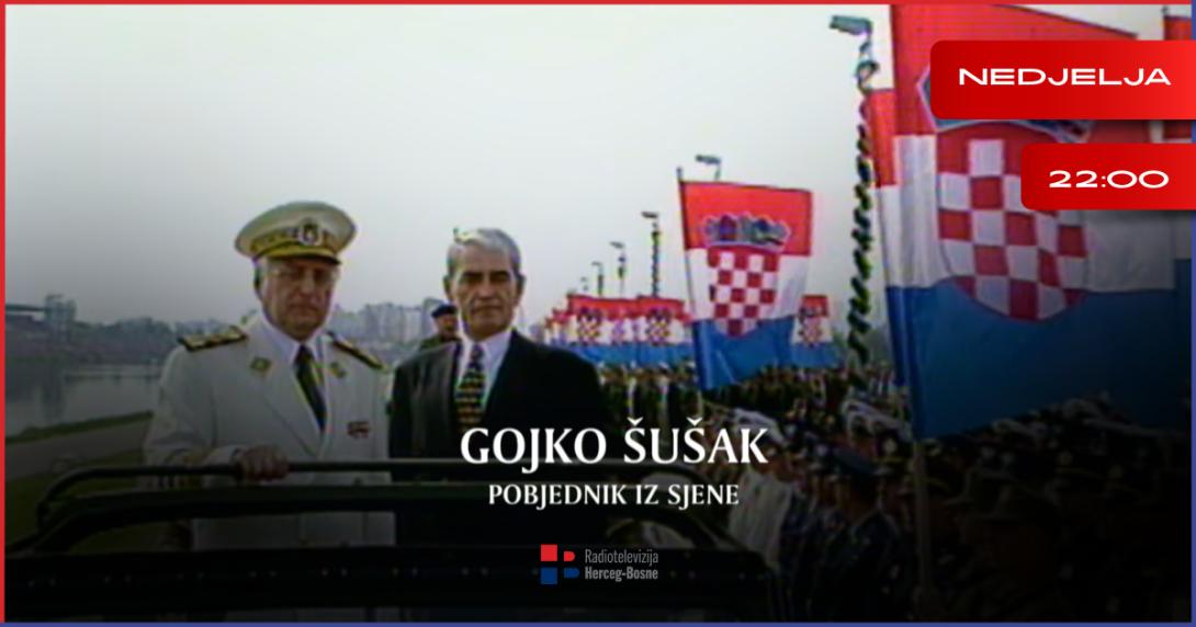 gojko susak.png