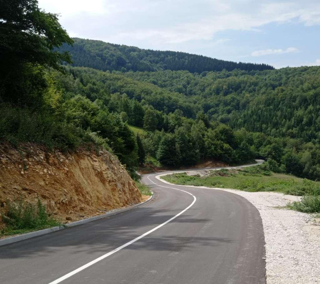 cesta