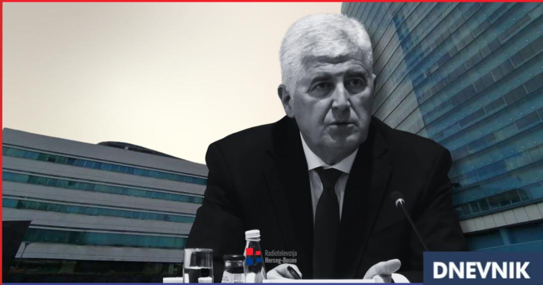 covic dom dn.png