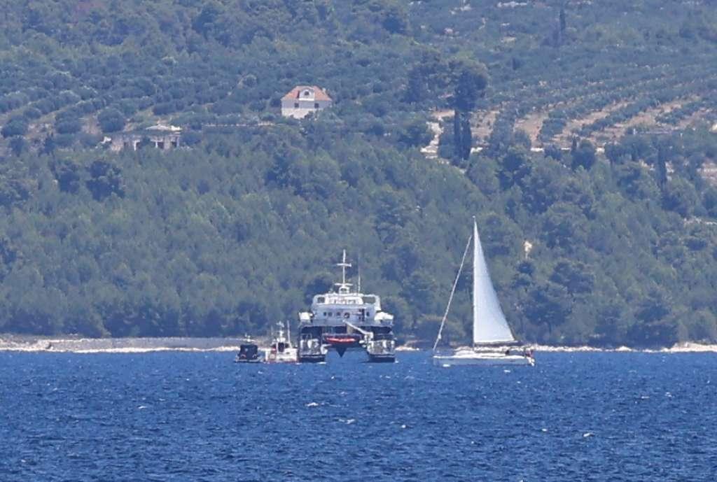 jedrilica