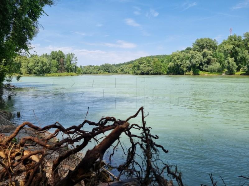 drava hina