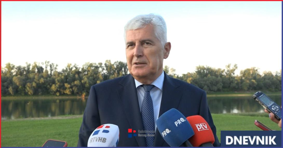 covic knjiga dn.png
