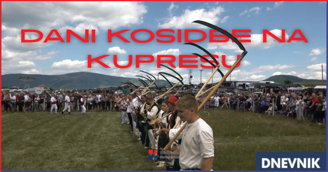 dkk dn.png